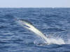 galapagos island information