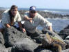 galapagos marine iguanas