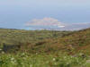 galapagos islands fishing